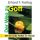 Der Weg zu Gott - Mit der Liebe Gottes im Herzen (2 CDs)